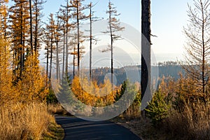 Slovakia. Beautiful autumn landscape of High Tatras trekking to Lomnicky Peak Lomnicky stit  and Kezmarsky Peak, Slovakia.