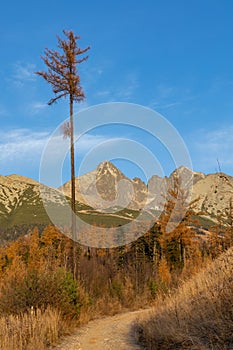 Slovakia. Beautiful autumn landscape of High Tatras trekking to Lomnicky Peak Lomnicky stit  and Kezmarsky Peak, Slovakia.