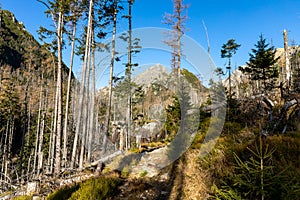 Slovensko. Krásna jesenná krajina Vysokých Tatier na Lomnický štít, Lomnický štít a Kežmarský štít, Slovensko.