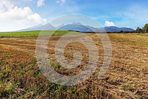 Slovakia countryside in summertime