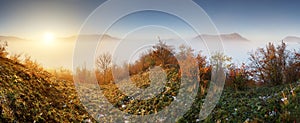 Slovakia forest autumn panorana landscape with mist in mountain, Manin