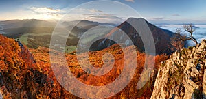 Slovakia forest autumn panorana landscape with mountain at sunri