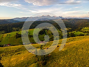 Slovakia high Tatras Mountains with meadow, Belianske Tatry Slovakia. Hiking in slovakia moutains.