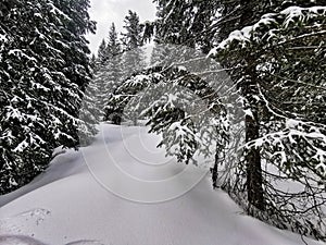 Slovensko Jasná Chopok freeride snowboarding v prašane
