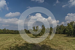 Slovakia karst in summer hot day