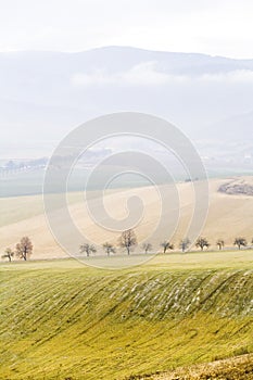 Slovakia landscape