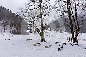 Slovakia national park Mala Fatra, Janosikove diery, Terchova village. Paths in the frost, winter. Hiking and tourism in Slovakia,