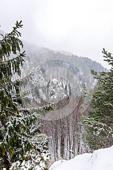 Slovakia national park Mala Fatra, Janosikove diery, Terchova village. Paths in the frost, winter. Hiking and tourism in Slovakia,