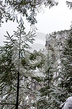 Slovakia national park Mala Fatra, Janosikove diery, Terchova village. Paths in the frost, winter. Hiking and tourism in Slovakia,