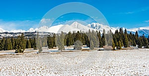 Slovakia: Panorama view of Big Tatra. Big mountains in bacground and forest in foreground Snowy cold weather.