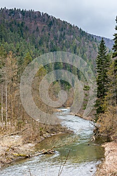 Slovenský raj: kaňon rieky v slovenskom národnom lesoparku