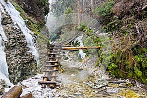 Slovenský ráj - Kaňon řeky Suchá Biela s turistickou cestou. Turistika v kaňonu řeky, lesní stromy po stranách. Beautif