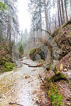 Slovakia paradise - The Sucha Biela river canyon with tourist path. Hiking in the river canyon, forest trees on the sides. Beautif