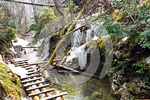 Slovakia paradise - The Sucha Biela river canyon with tourist path. Hiking in the river canyon, forest trees on the sides. Beautif