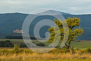 Slovakia