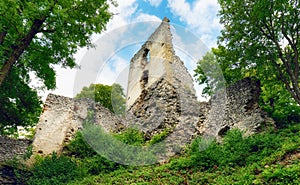 Slovakia - Ruins of castle Dobra Voda