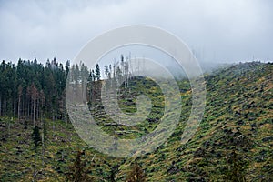 Slovakia Tatra mountain tops in misty weather