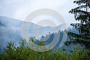 Slovakia Tatra mountain tops in misty weather
