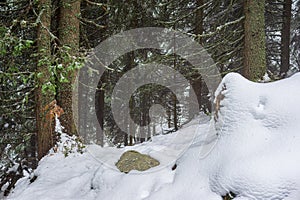 Slovakia tatra mountain tourist hiking trails under snow in winter time