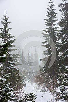 Slovakia tatra mountain tourist hiking trails under snow in winter time