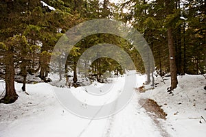 Slovakian Belianske Tatry mountains landscape