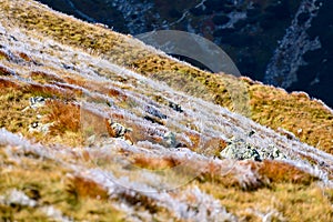 Slovakian carpathian mountains in autumn. frosty grass on summit