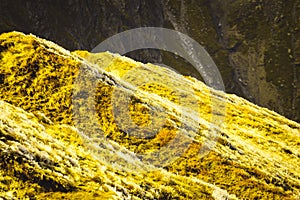 Slovakian carpathian mountains in autumn. frosty grass on summit