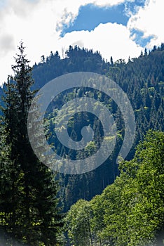 Slovakian carpathian mountains in autumn with green forests