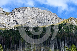 Slovakian carpathian mountains in autumn with green forests