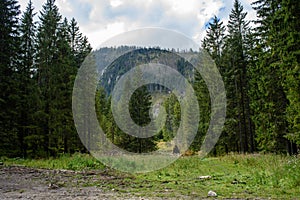 Slovakian carpathian mountains in autumn with green forests