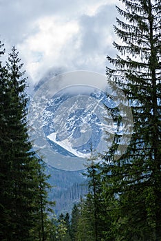 Slovakian carpathian mountains in autumn with green forests