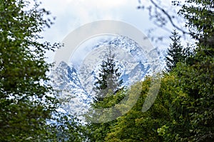 Slovakian carpathian mountains in autumn with green forests