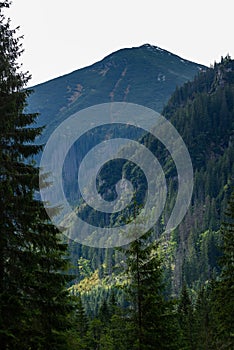 Slovakian carpathian mountains in autumn with green forests