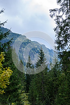 Slovakian carpathian mountains in autumn with green forests