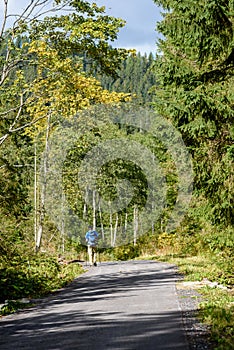 Slovakian carpathian mountains in autumn with green forests