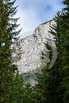 Slovakian carpathian mountains in autumn with green forests