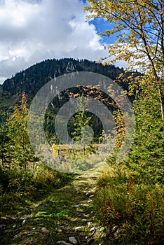 Slovakian carpathian mountains in autumn with green forests