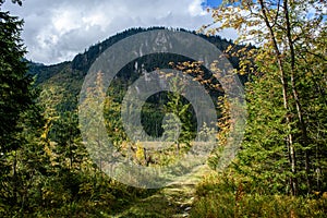 Slovakian carpathian mountains in autumn with green forests