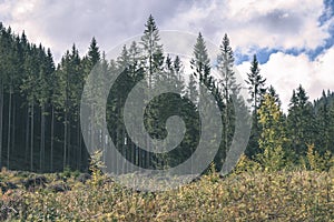 Slovakian carpathian mountains in autumn with green forests - vi