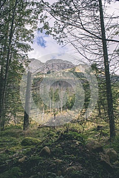 Slovakian carpathian mountains in autumn with green forests - vi