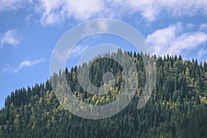 Slovakian carpathian mountains in autumn with green forests - vi