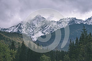 Slovakian carpathian mountains in autumn with green forests - vi