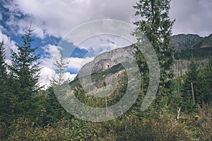 Slovakian carpathian mountains in autumn with green forests - vi