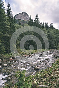 Slovakian carpathian mountains in autumn with green forests - vi