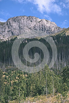 Slovakian carpathian mountains in autumn with green forests - vi