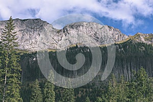 Slovakian carpathian mountains in autumn with green forests - vi