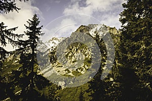 Slovakian carpathian mountains in autumn with green forests - vi