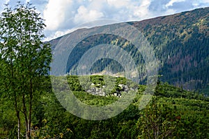 Slovakian carpathian mountains in autumn with green forests