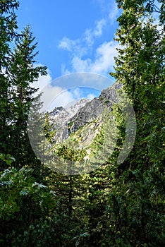 Slovakian carpathian mountains in autumn with green forests