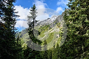 Slovakian carpathian mountains in autumn with green forests